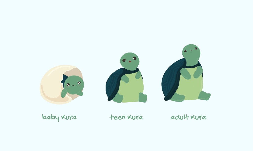 Baby, teen, and adult Kura growing from an egg into the turtle mascot